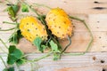 Horned melon, vine with two fresh ripe kiwano, Cucumis metuliferus, on wooden background Royalty Free Stock Photo