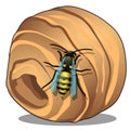 The hornet or wasp nest, vespiary isolated on white background. A hive of wild forest bees. Vector cartoon close-up