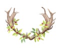 Horns of a deer male on isolated white background. Berries and branches with leaves woven into horns. Watercolor