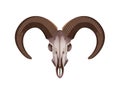 Horns Goat Skull Flat Royalty Free Stock Photo