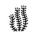 hornwort marine seaweed glyph icon vector illustration
