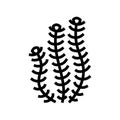 hornwort marine seaweed line icon vector illustration