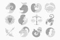 Horoscope symbols, icons set: aries taurus gemini cancer leo virgo libra scorpio sagittarius capricorn aquarius pisces Royalty Free Stock Photo