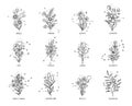 Horoscope tattoo flowers icons set outline, hand drawn vector. Zodiac doodle astrology Royalty Free Stock Photo