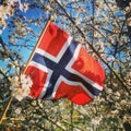 Horray for Norways birthday 17 mai