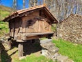 Horreo, typical granary, Lario village, MontaÃÂ±a de RiaÃÂ±o y Mampodre Regional Park, Leon province, Spain