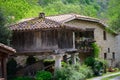 Horreo, typical granary with pillars near Cangas de Onis, mountain village, Picos de Europa mountains, Asturias, North of Spain