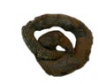 Horrible dried snake for witch potions and Halloween