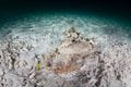 Horrid Stonefish on Seafloor in Raja Ampat Royalty Free Stock Photo