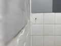 Horrifying spider and web in in the bathroom Royalty Free Stock Photo