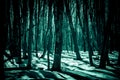 Horror background. Scary frightening tree trunks in the deep winter forest glowing greenish in the dark with mystical shadows in Royalty Free Stock Photo