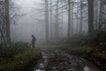 A horror concept of a hiker looking into a forest on a spooky, foggy, winters day