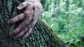 A horror concept of a mans hand holding on to a tree trunk covered in mud and plants