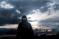 A horror concept. A silhouette of a hooded figure, standing in a field, , with scary glowing eyes looking at the camera. Back