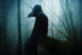 A horror concept of a spooky hooded figure in a plague doctor mask. Sitting in a forest on a winters day. With a grunge, artistic