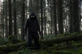 A horror concept of a spooky winter forest with a scary hooded figure with glowing eyes standing next to a fallen tree Royalty Free Stock Photo