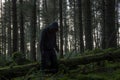 A horror concept of a spooky winter forest with a spooky hooded figure standing next to a fallen tree Royalty Free Stock Photo