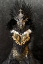 Horror, dark gothic dress formed by a silver metal tiara and a g