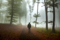 Horror dark man in silhouette in spooky foggy forest