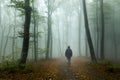 Horror dark man in silhouette in spooky foggy forest