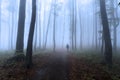 Horror dark man in silhouette in spooky foggy forest