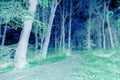 Horror foggy forest in negative Royalty Free Stock Photo