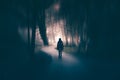 Horror halloween concept. strange silhouette in a dark spooky forest at night Royalty Free Stock Photo