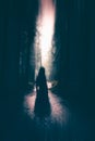 Horror halloween concept. strange silhouette in a dark spooky forest at night Royalty Free Stock Photo