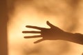 Horror hand shadow Royalty Free Stock Photo