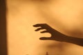 Horror hand shadow Royalty Free Stock Photo