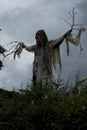 Horror scarecrow