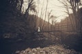 Horror scene of woman in white dress at the old wooden bridge