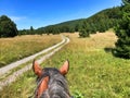 Horse riding in nature Royalty Free Stock Photo