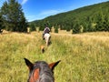 Horse riding in nature Royalty Free Stock Photo