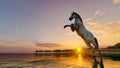 Horse against a sunset