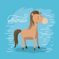 Horse animal caricature in color background with lines