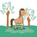 Horse animal caricature in forest landscape background