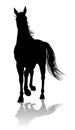 Horse Silhouette Animal Royalty Free Stock Photo