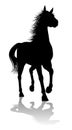 Horse Silhouette Animal