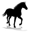 Horse Silhouette Animal Royalty Free Stock Photo