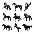 Horse Animal Silhouette Black Icon Flat Design Element Vector Illustration