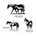 Horse Animal Silhouette Black Icon Flat Design Element Vector Illustration Royalty Free Stock Photo