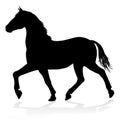 Horse Animal Silhouette Royalty Free Stock Photo