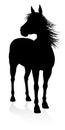 Horse Animal Silhouette