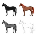 Horse.Animals single icon in cartoon style vector symbol stock illustration web.