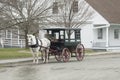 A horse with an antique carriage.