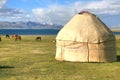The horse around ger camp in a large meadow at Song kul lake , Naryn of Kyrgyzstan