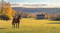 Brown Horse in Autumn Field Near Farmhouse, Golden Hour Countryside Scenic View Royalty Free Stock Photo