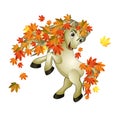 Horse autumn