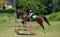 Girl horse back riding Royalty Free Stock Photo